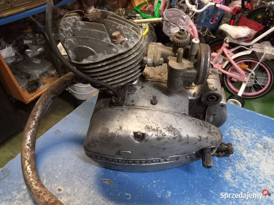 Silnik komar jajko s38 kujawsko-pomorskie Mogilno