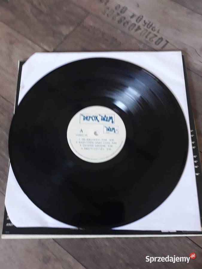 Archiwum polskiego blues rocka DŻEM Detox 1991 Rzeszów
