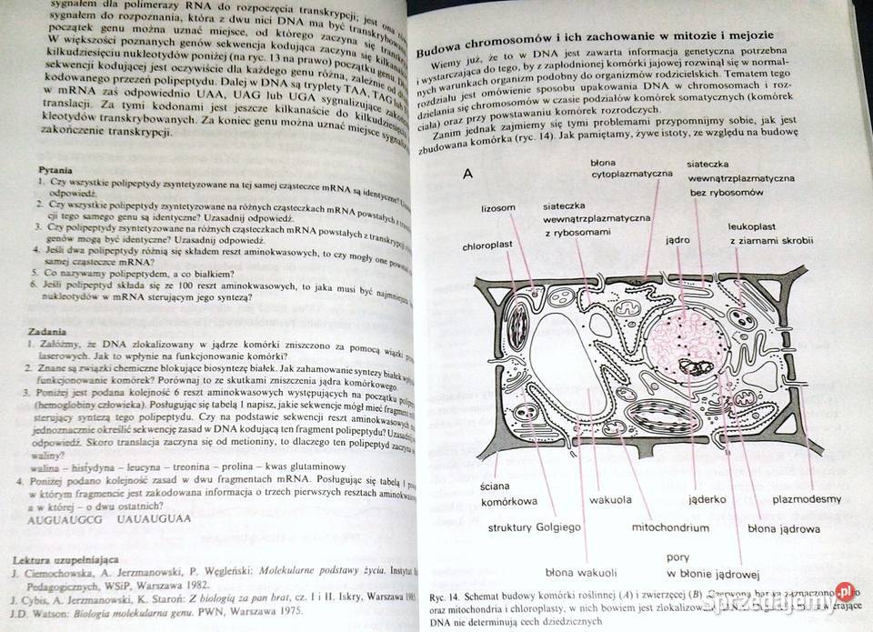 Biologia kl 3 i 4 Wacław Gajewski Aleksandra lubelskie Chełm