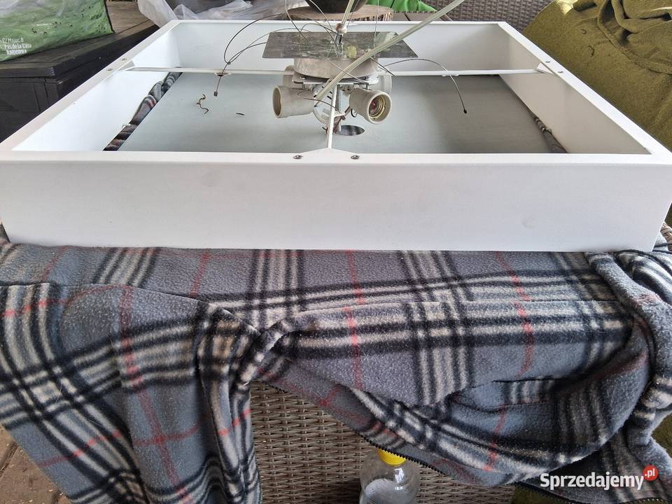 Ldmpa plafon wiszący kujawsko-pomorskie Kowalewo Pomorskie