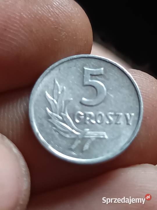 Sprzedam 5 gr 1962 r Chełm