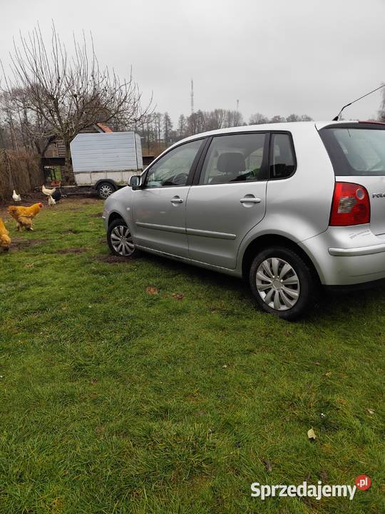 Polo 9n Polo Strzelce Wielkie