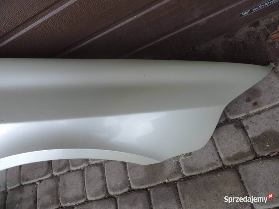 RENO LAGUNA II BŁOTNIK PRAWY PRZEDNI MV190 Nowy Sącz
