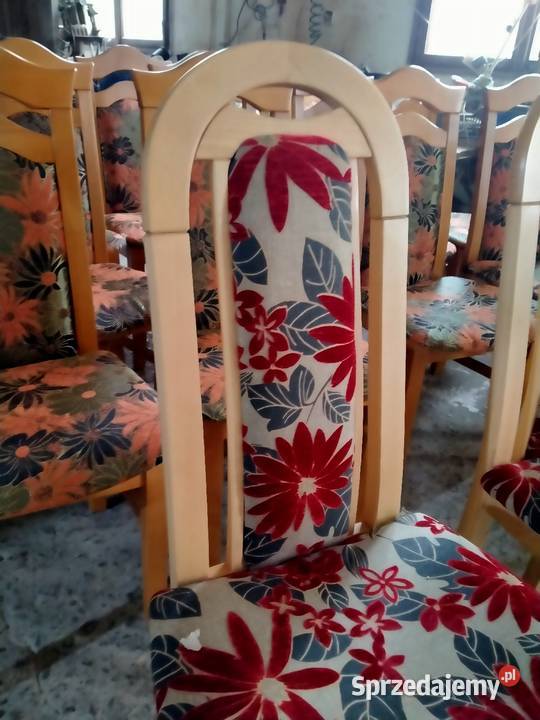 Krzesła bukowe nowe Krzesła kujawsko-pomorskie Rogóźno