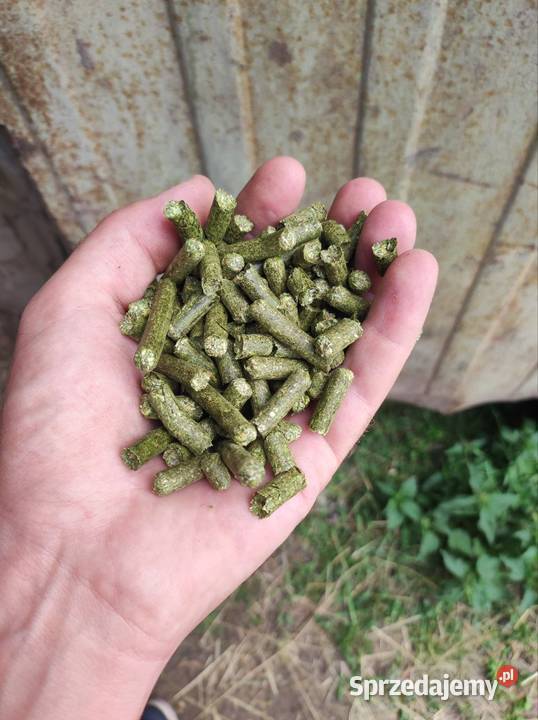 Lucerna granulowana Susz z lucerny 8mm Dostawa w Krotoszyn