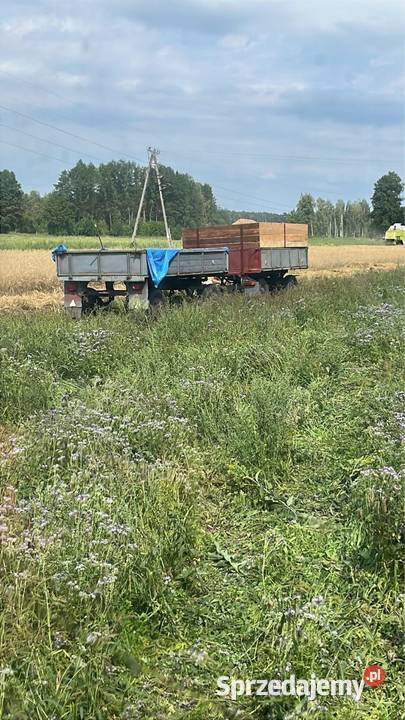 Autosan D33 wywrotka zarejestrowana Rolnictwo sprzedam