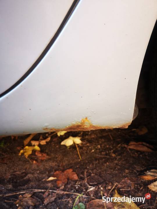 Renault scenik Grudziądz