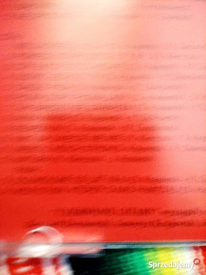 Czerwone gitary muzyka Warszawa