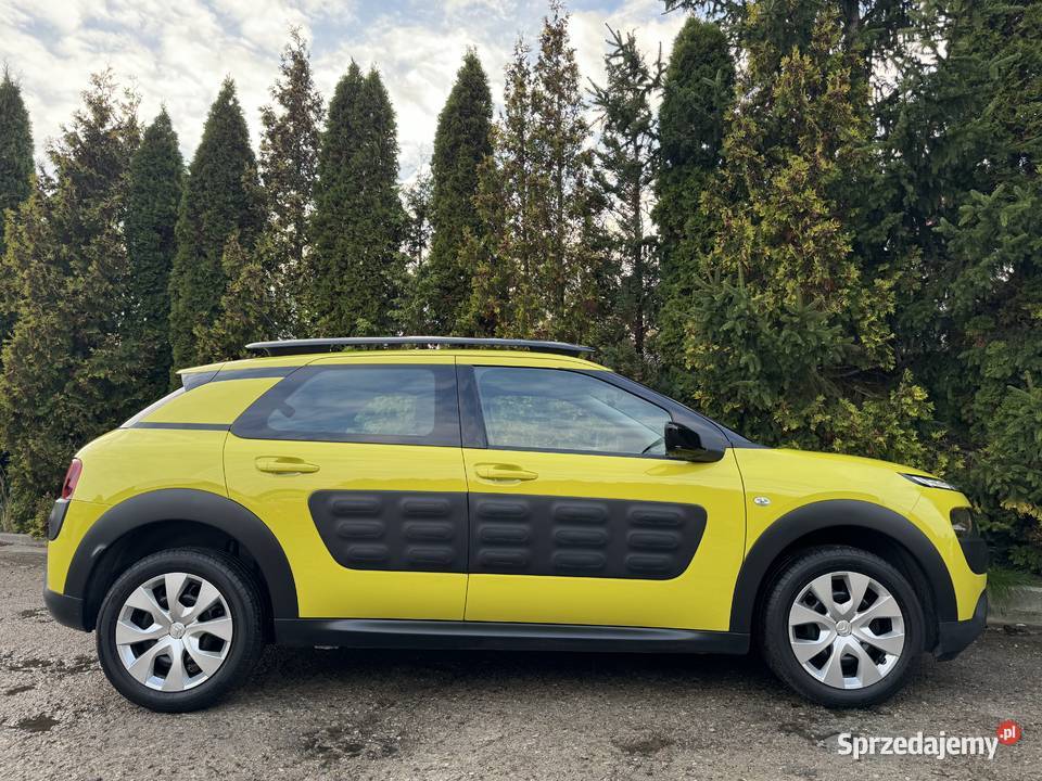 CITROEN C4 CACTUS 12 82 Ledy Kamera Klimatronik centralny zamek warmińsko-mazurskie