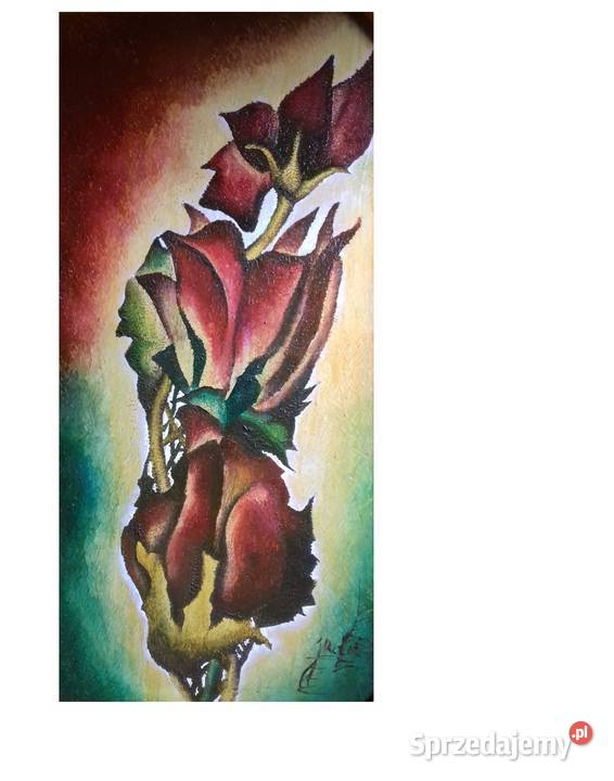 Wenusowskie Piwonie Jarosław