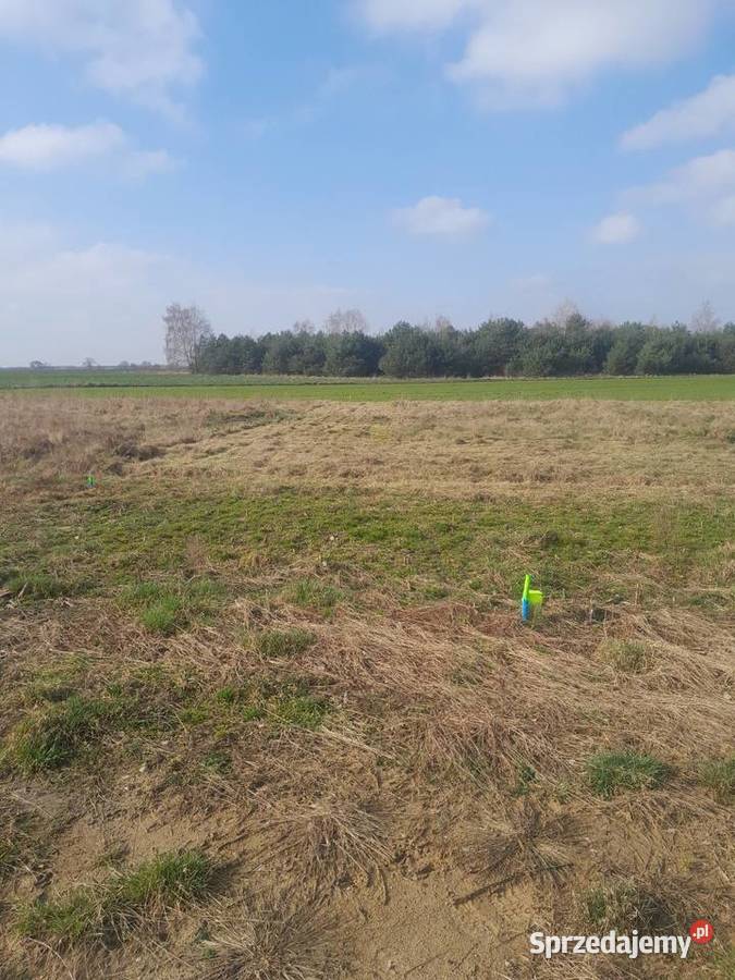 Sprzedam dzialke z gotowymi warunkami Skierniewice