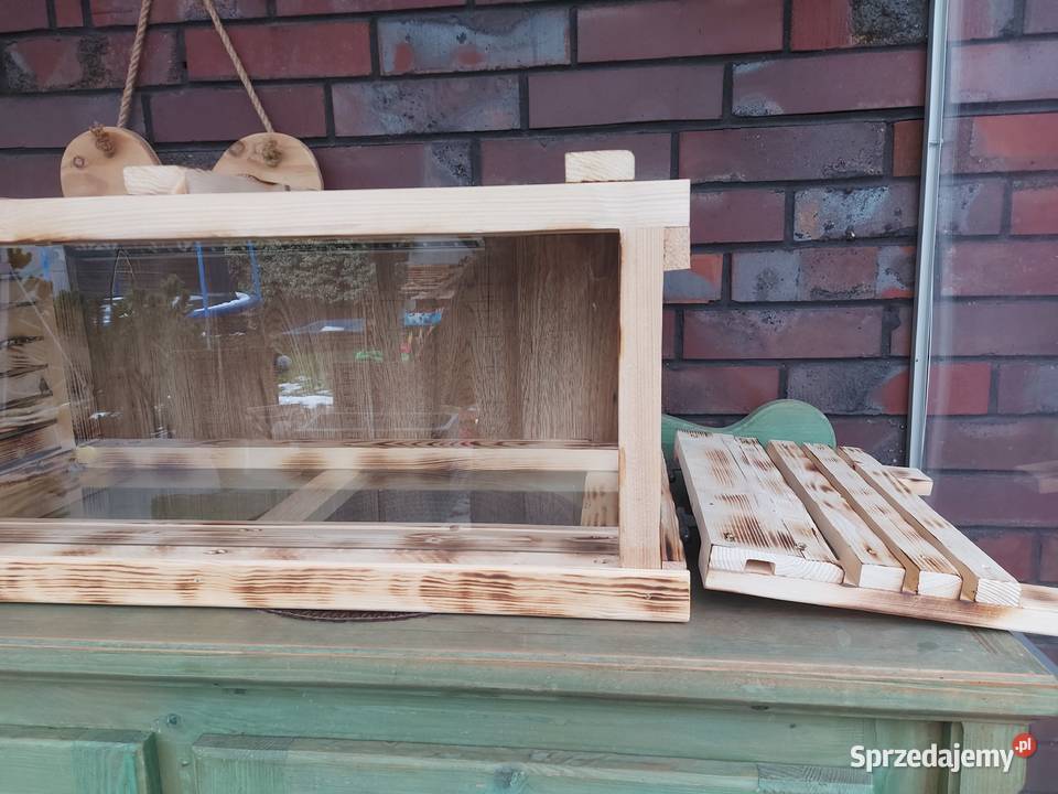 Terrarium żółwia jeża pigmejskiego Opole sprzedam