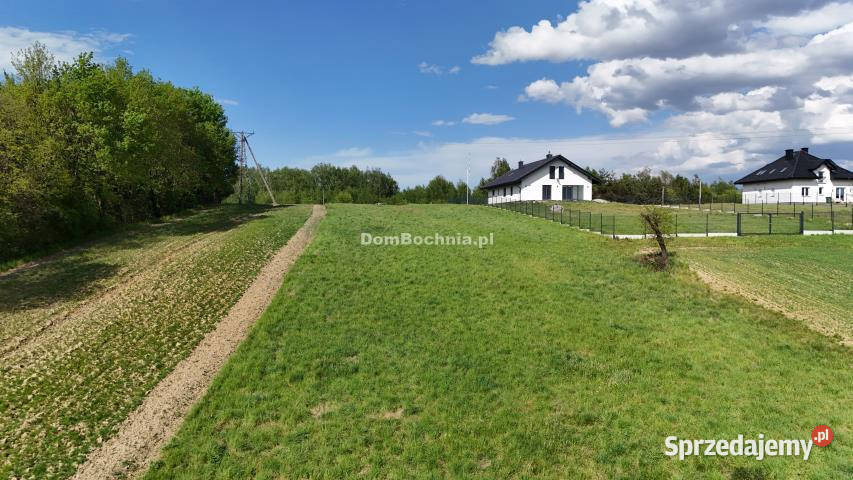 Ogłoszenie grunt 12400m2 Dębina Grunty i działki