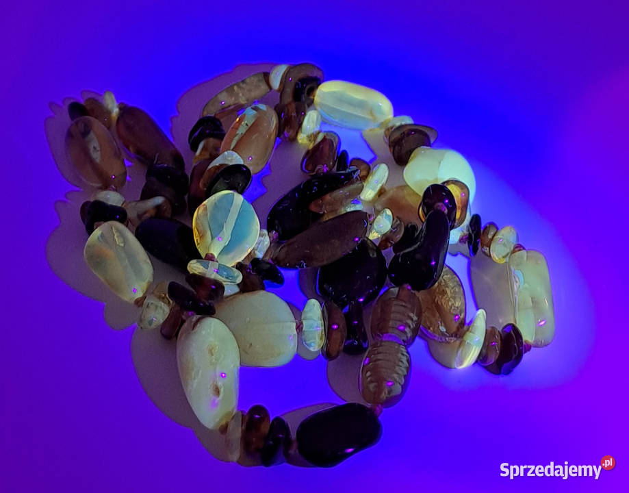 Korale z bursztynu BURSZTYN bałtycki fasolki Warszawa