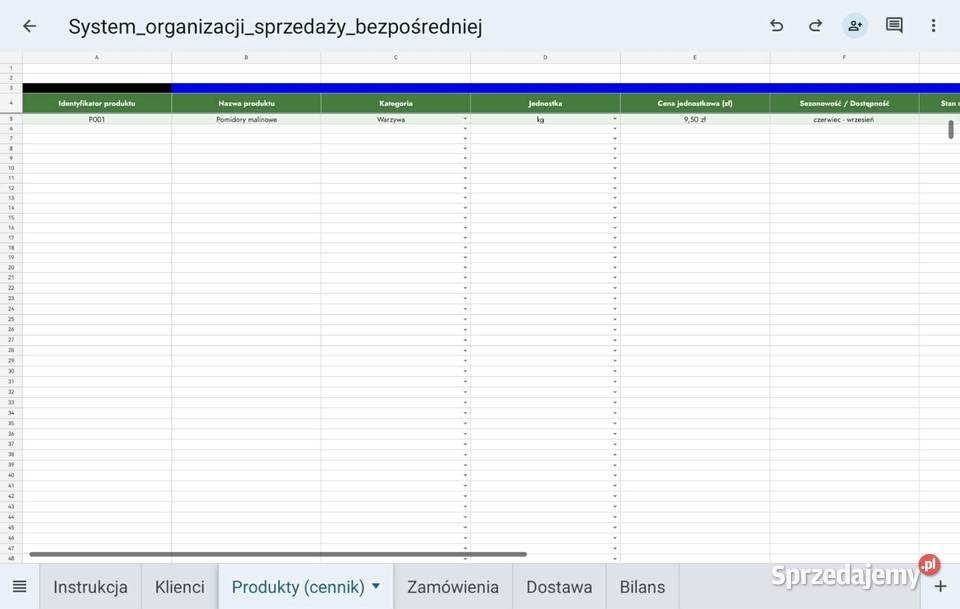 Sprzedaż bezpośrednia system Excel Pozostałe małopolskie Racławice