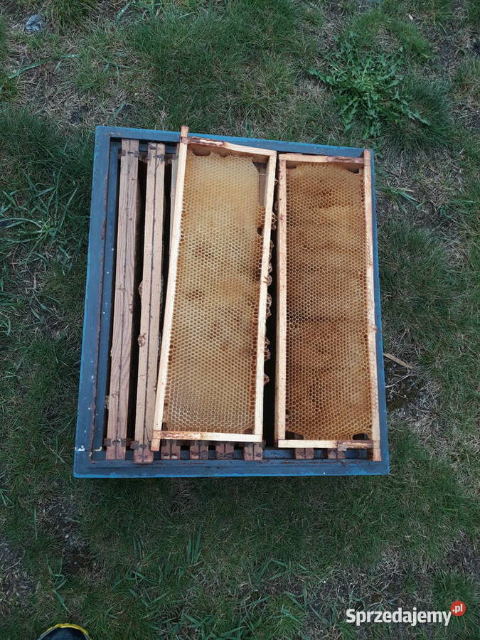Susz pszczeli ramka hofmanowska12 Dadanta Klucze sprzedam