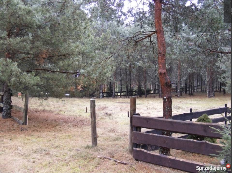 Działka stara kiszewa super okazja sprzedam