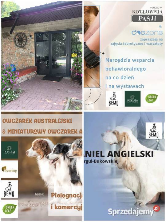 Szkolenie GROOMERÓW pod Wwą Duży Dół