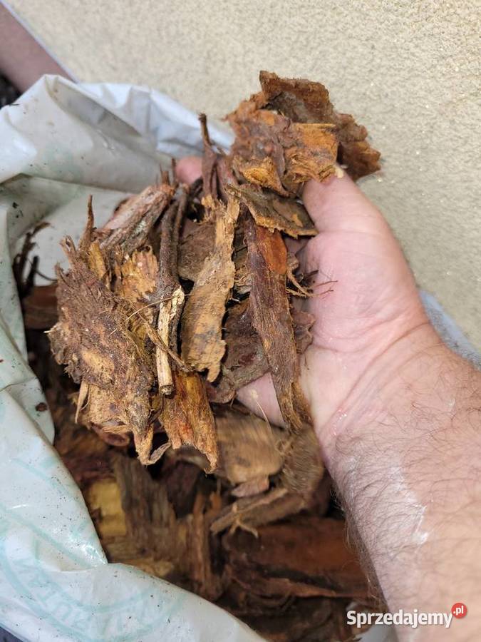 Kora sosnowa 80 L Zabrze