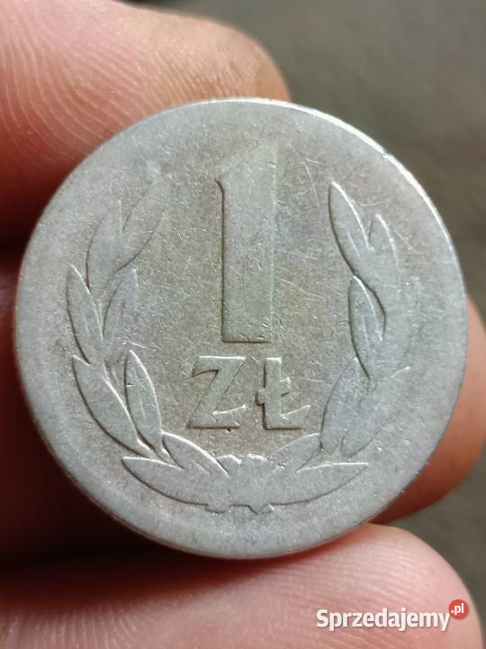 Sprzedam 1 zl 1957 qqqq Chełm