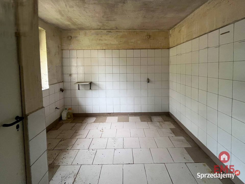 wynajmu lokalu Białystok 450m2