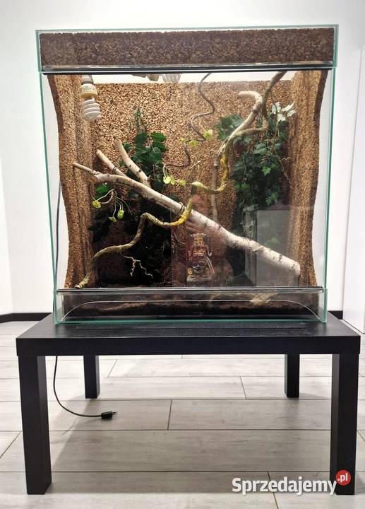 Sprzedam Terrarium szklane 80 396 85 2 lampy UVB sprzedam