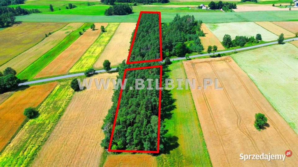 Grunt Morgi 9101m2 podlaskie