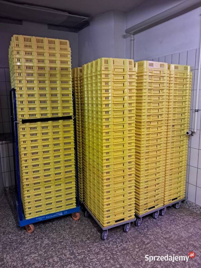 Kosze piekarnicze 60x40x14