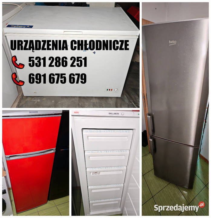 Szeroki Wybór Urządzeń Chłodniczych Lodówki wolnostojące Dobrzyń nad Wisłą