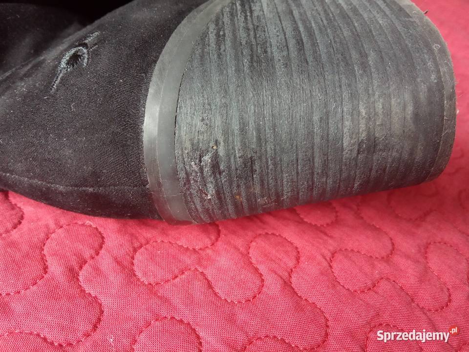 Kozaki kostkę Rocket Dog Warszawa sprzedam