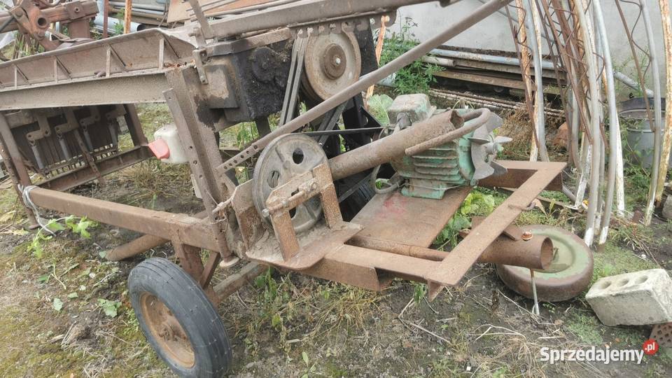 Obcinaczka wałkowa do cebuli Chełmce