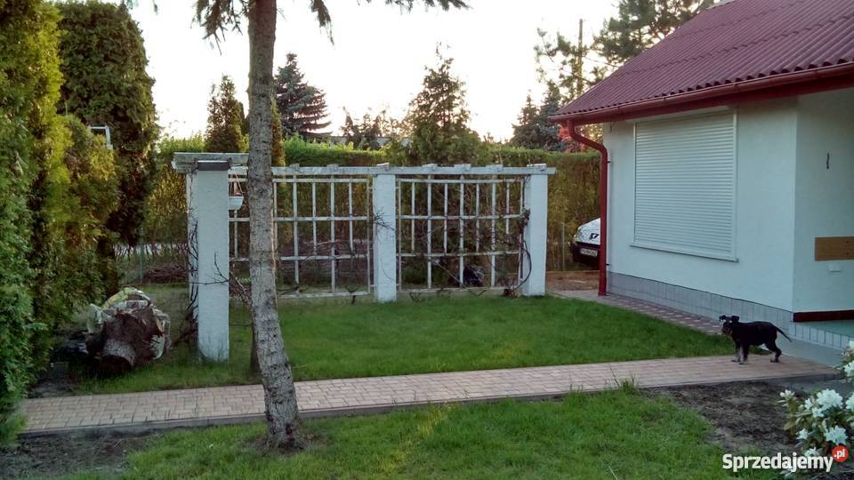 Działka rekreacyjna ROD Sierosław IV Grunty i działki Sierosław