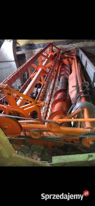 Bizon na części zo 50