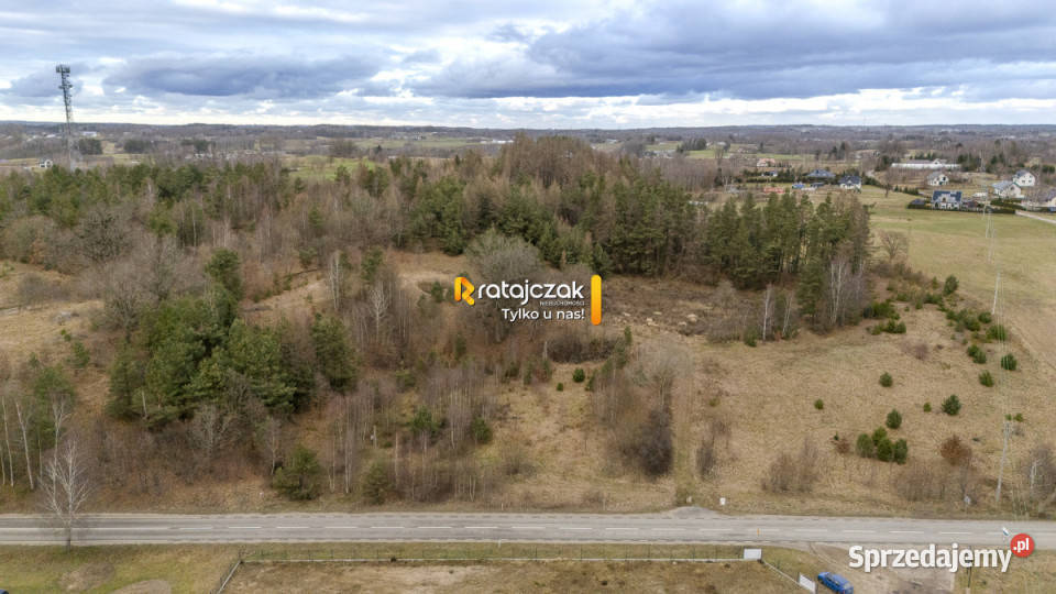 sprzedaży gruntu 1000m2 Pomieczyno
