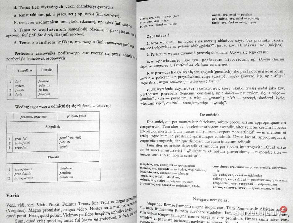 Język łaciński Oktawiusz Jurewicz Lidia Chełm sprzedam