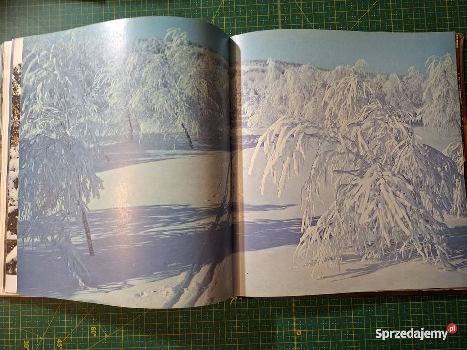 Krym Jałtafotoalbum j rosyjski twarda małopolskie