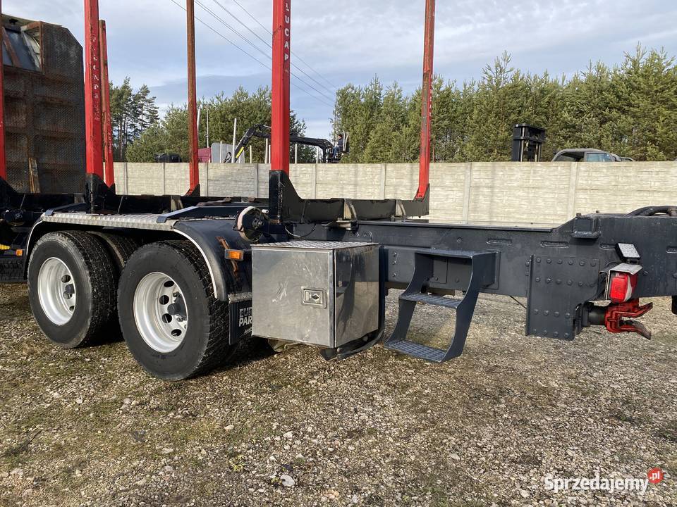 Do drzewa drewna lasu Dźwigi samochodowe lubelskie Biłgoraj