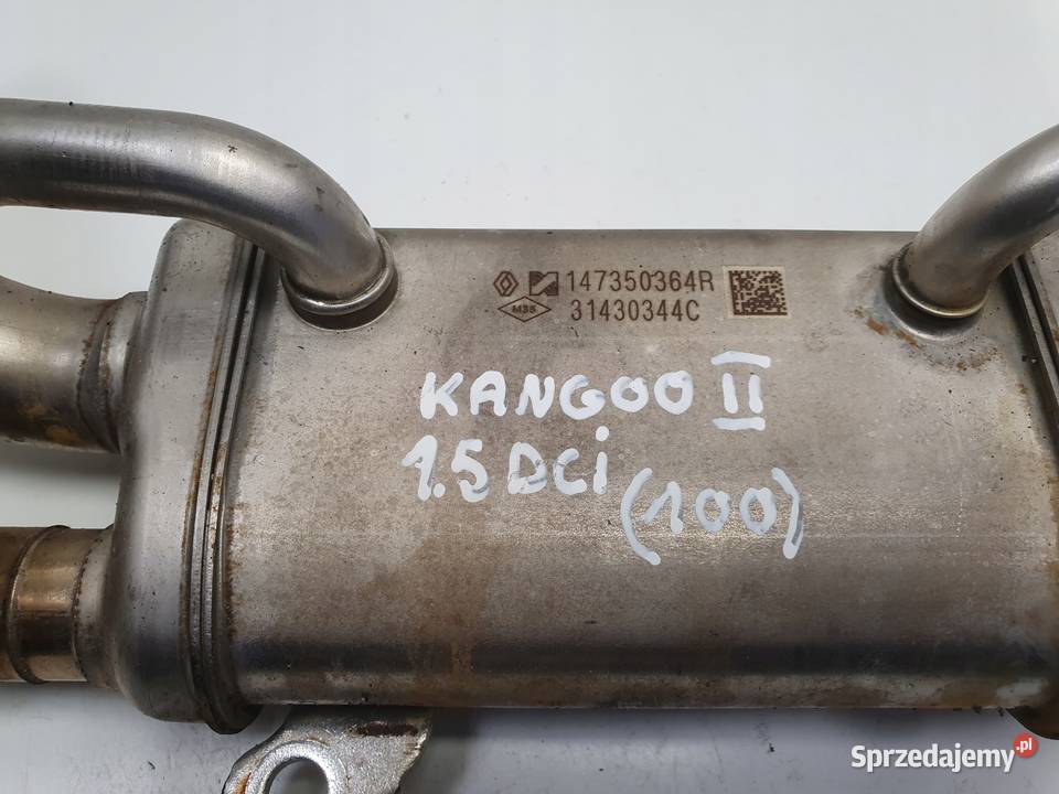 Renault Kangoo II 15 DCI CHŁODNICA SPALIN osobowe Rudka