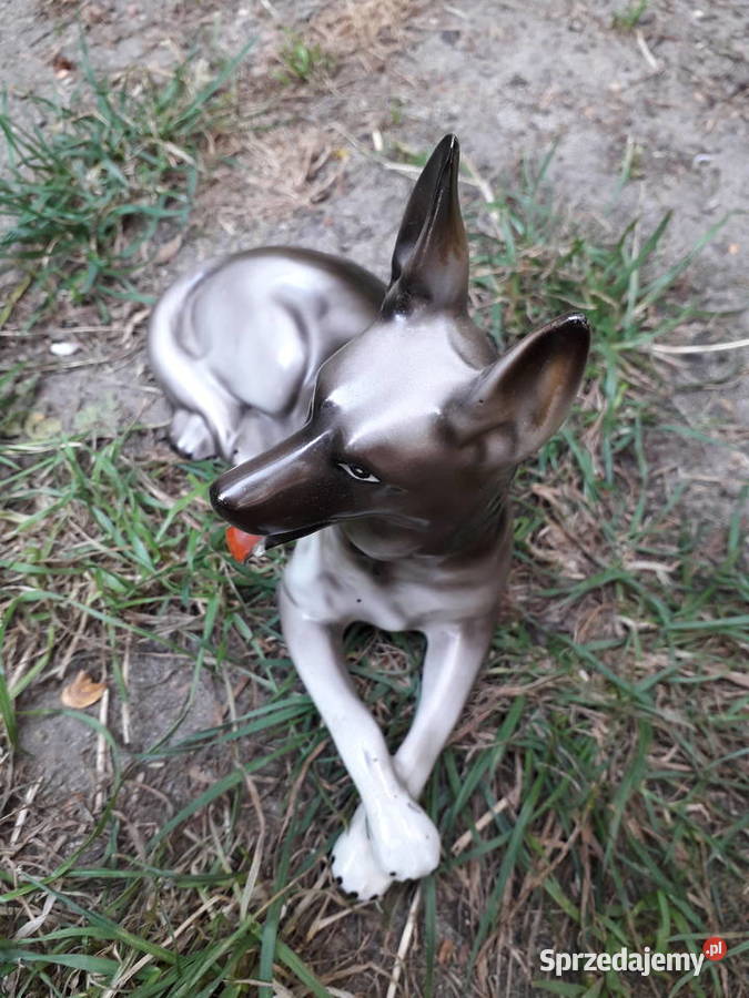 Na prezent figurka porcelanowa wilczur wilk mazowieckie sprzedam