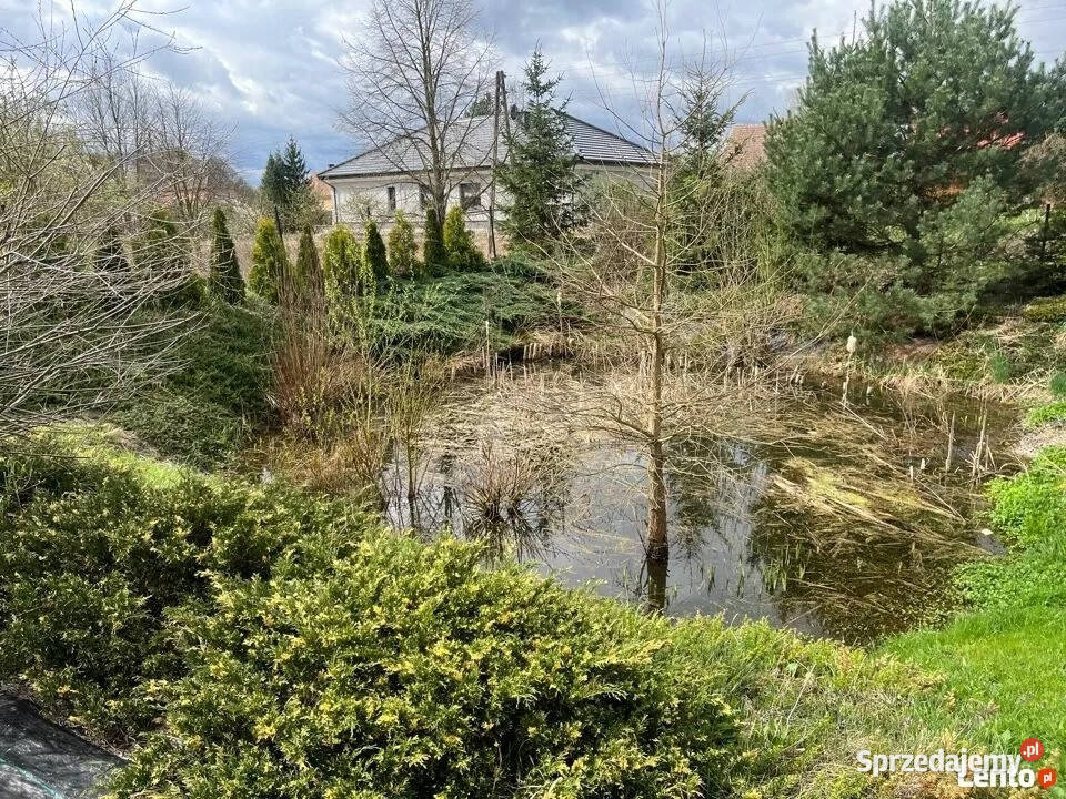 Dom wolnostojący w Starym Żaganiu powierzchnia Stary Żagań