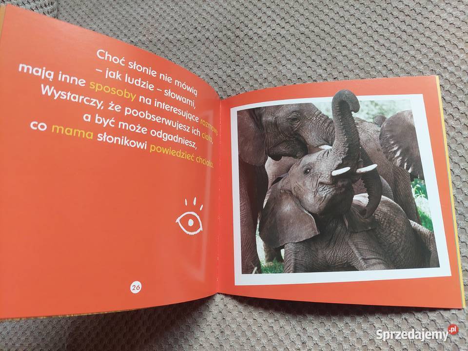Co jeden słoń powiedział drugiemu Becky Baines Rok wydania 2010