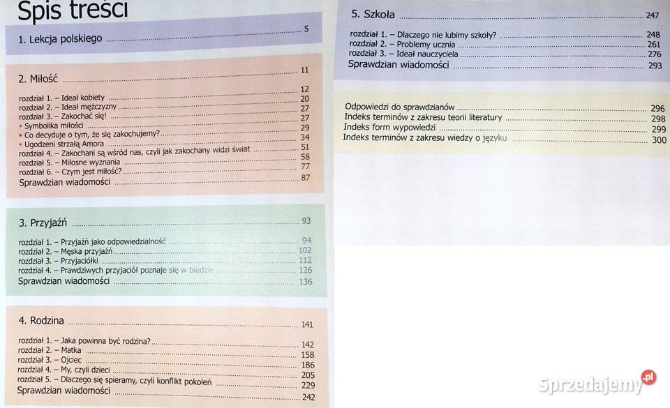 Czas na polski Podręcznik gimnazjalistów kl 1 Chełm sprzedam