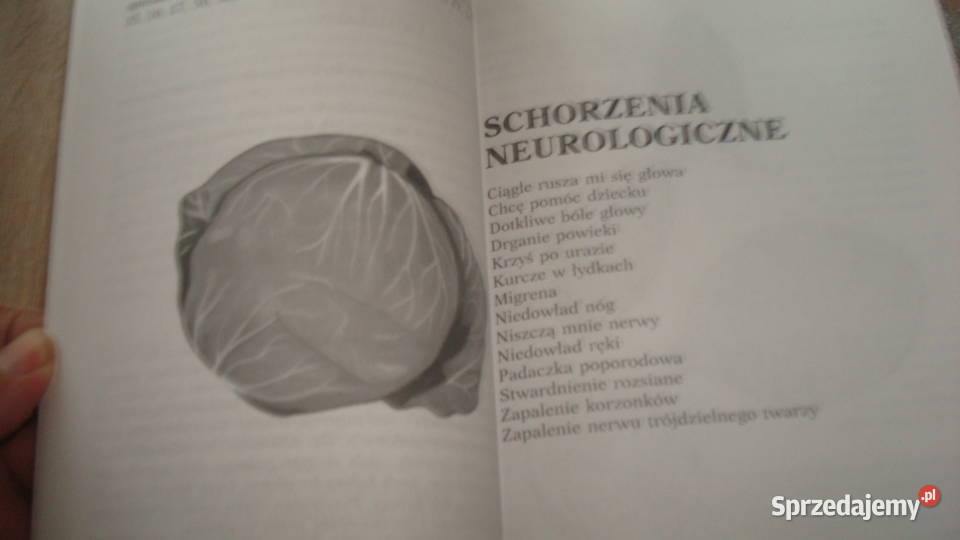Apteka natury Górnicka k