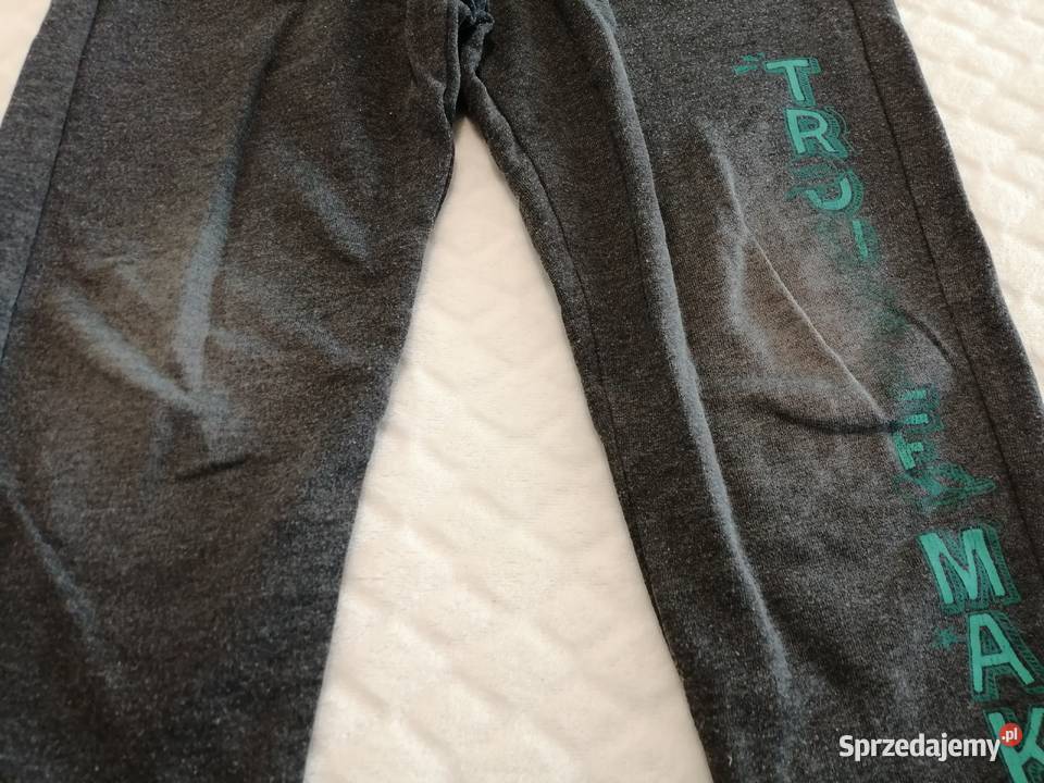 Spodnie dresowe szare 110 Little kids Odzież 4 lata+ Spodnie śląskie Czeladź