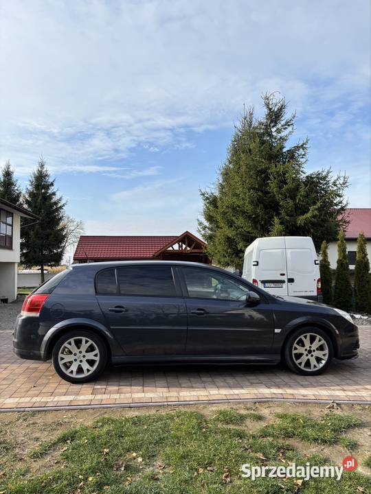 Piękny Opel Signum 19CDTI 120 lubelskie Łuków