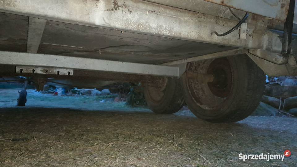 przyczepka do przewozu koni brenderup 2 osie Lubiatów