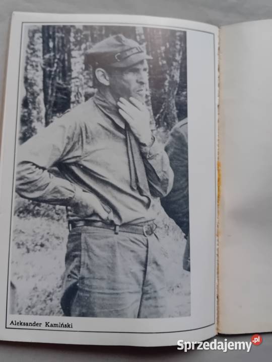 Leon Dmytrowski Trzy młodości ruchu zuchowego Koźminek