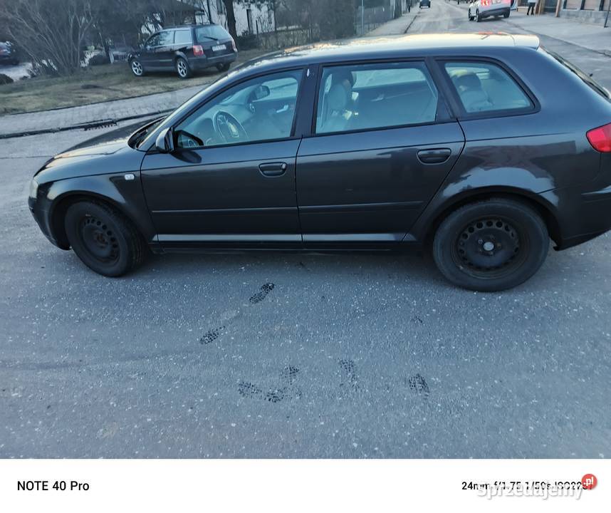 Audi A3 8P 19TDI Dłutów