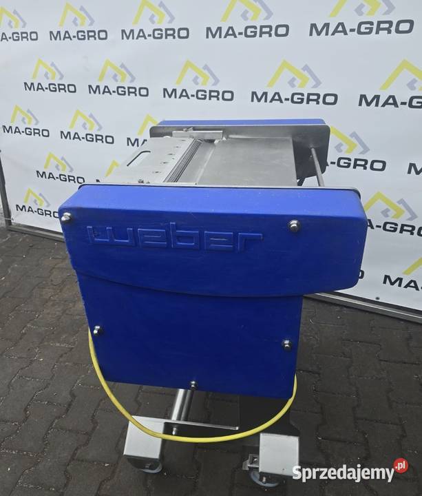 Skórowaczka śląskie Dobieszowice