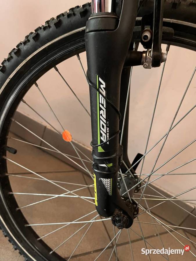 Merida Champion Matts Legnica